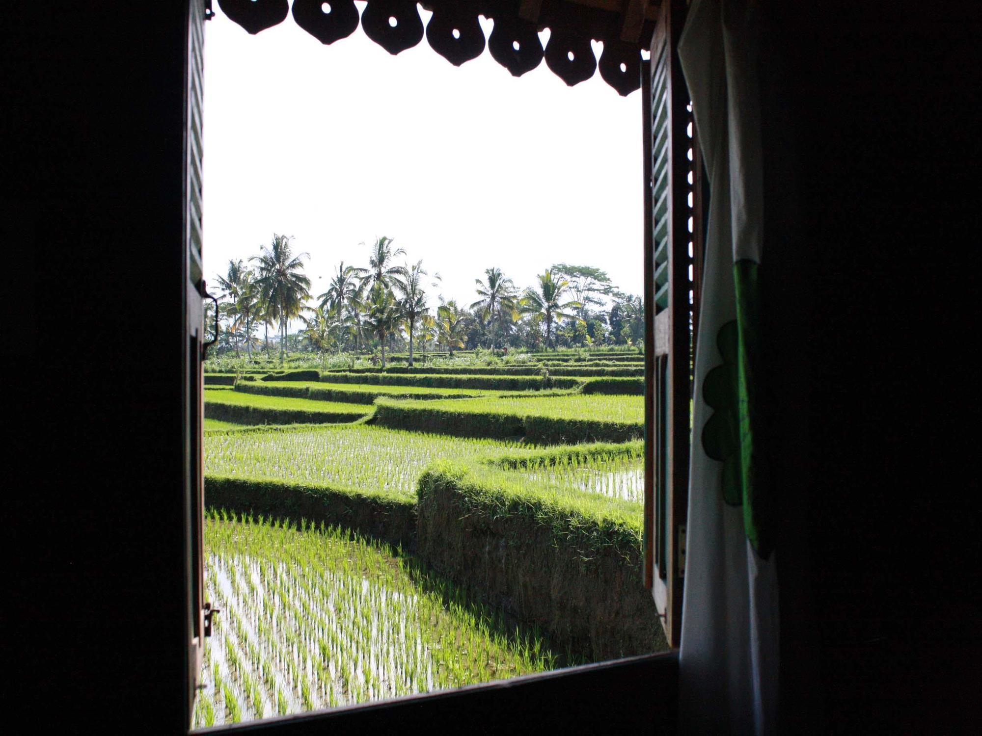 Hati Padi Cottages Ubud Exteriér fotografie