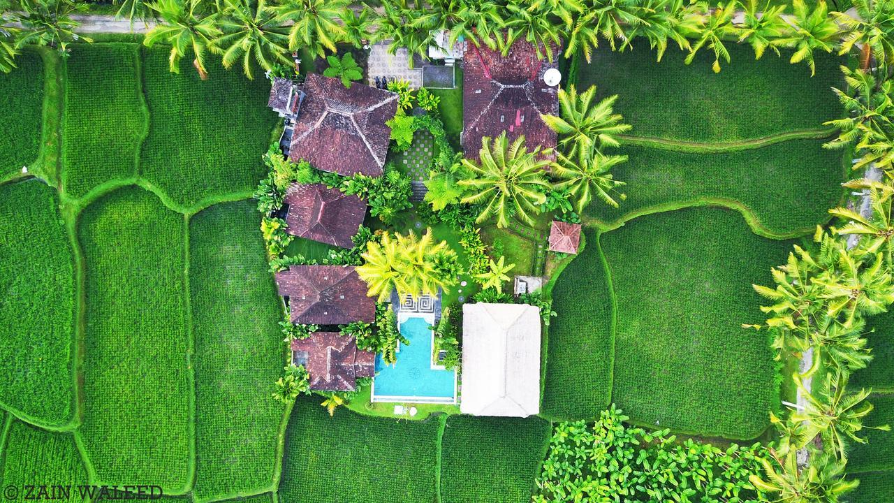 Hati Padi Cottages Ubud Exteriér fotografie
