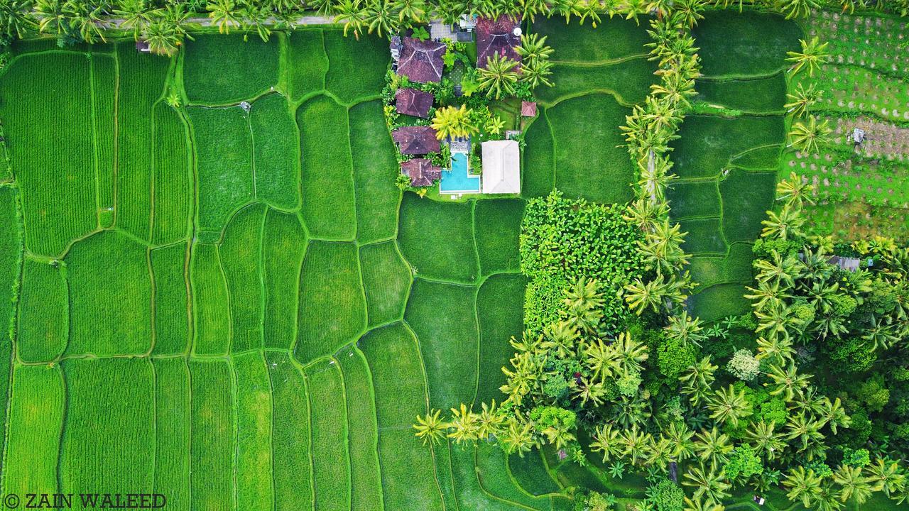 Hati Padi Cottages Ubud Exteriér fotografie