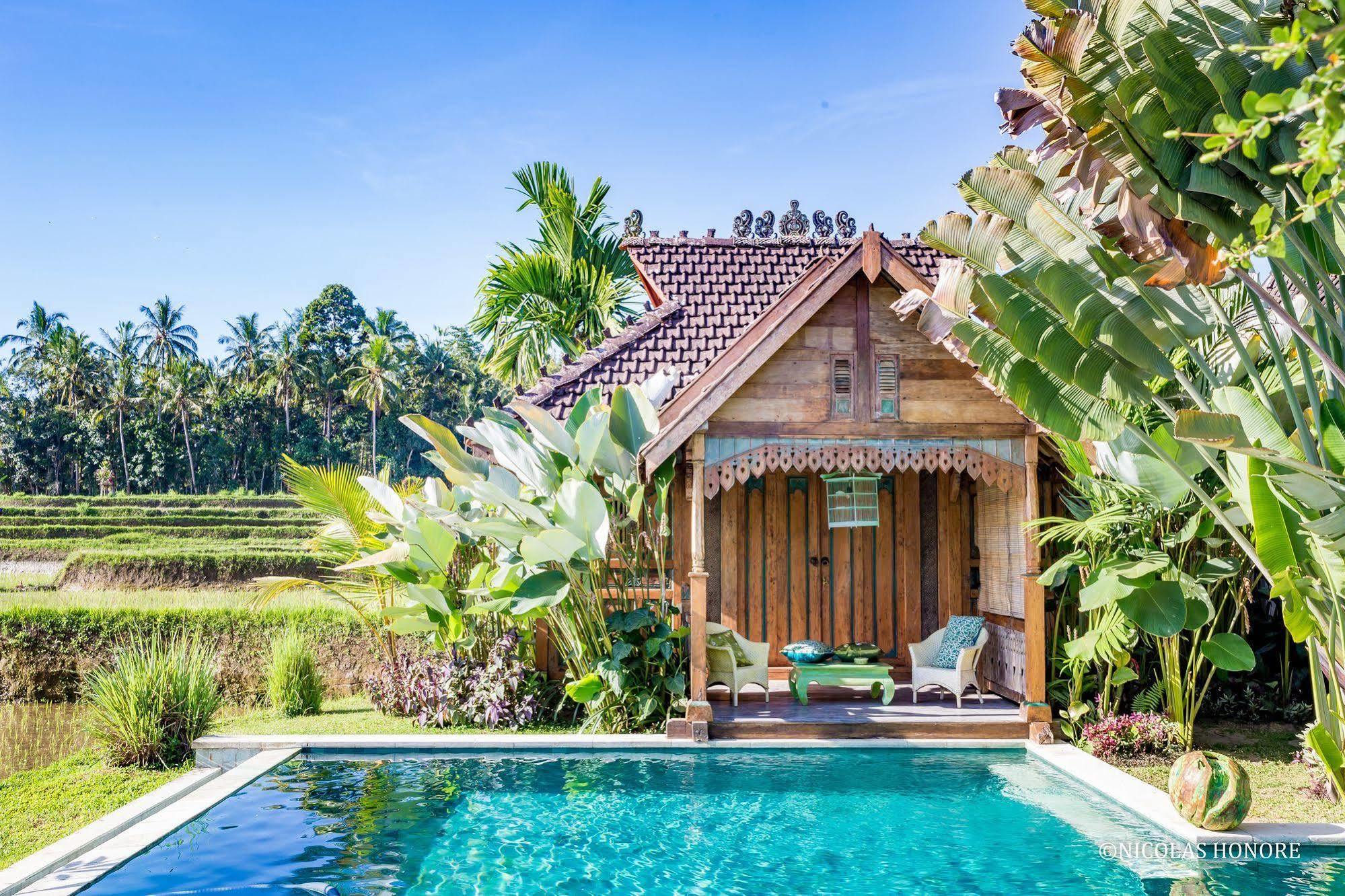 Hati Padi Cottages Ubud Exteriér fotografie