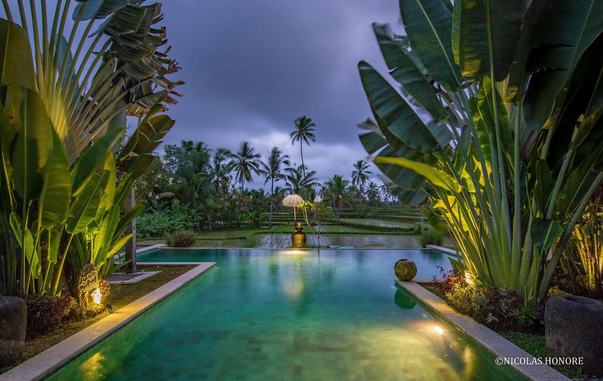 Hati Padi Cottages Ubud Exteriér fotografie