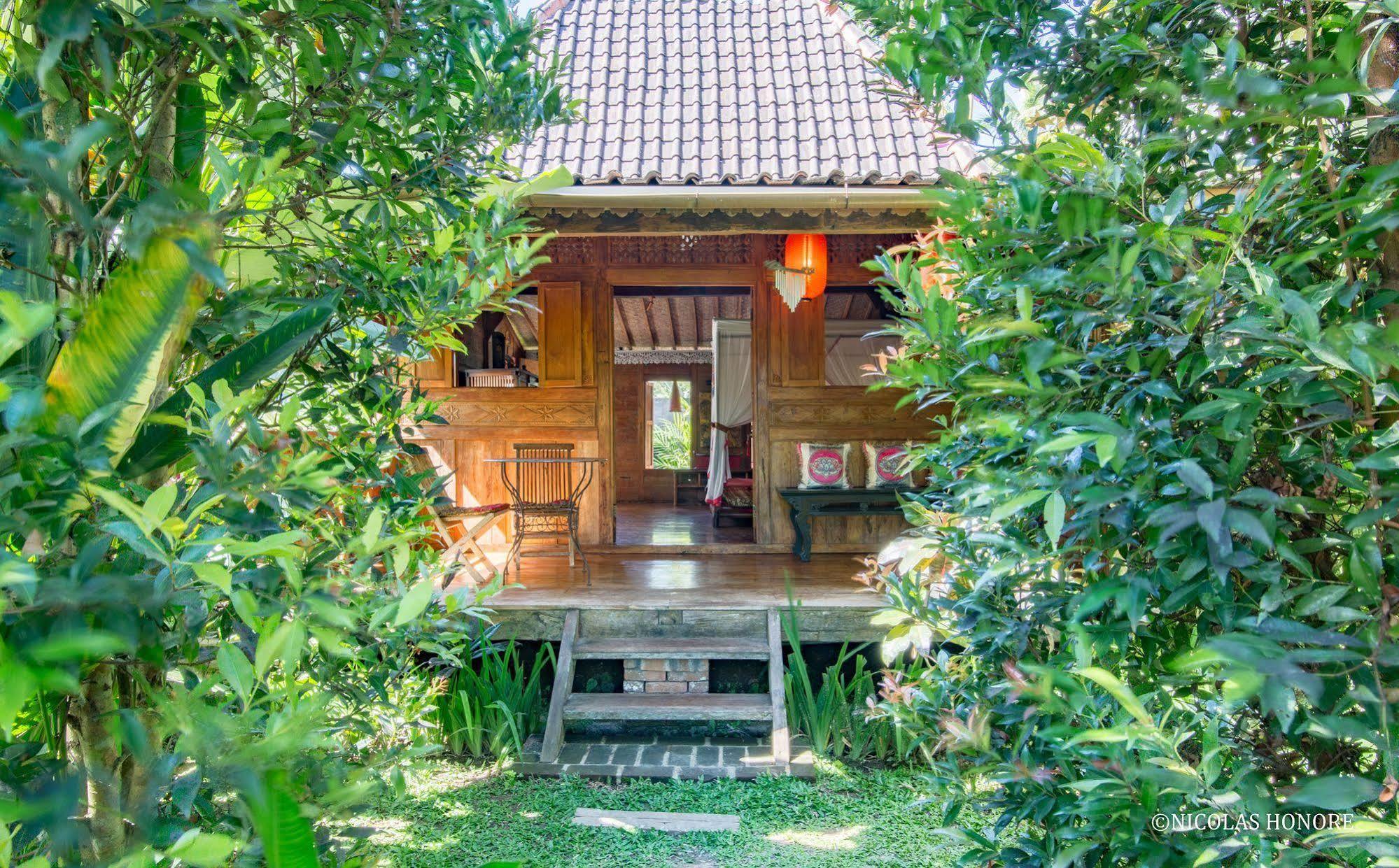 Hati Padi Cottages Ubud Exteriér fotografie