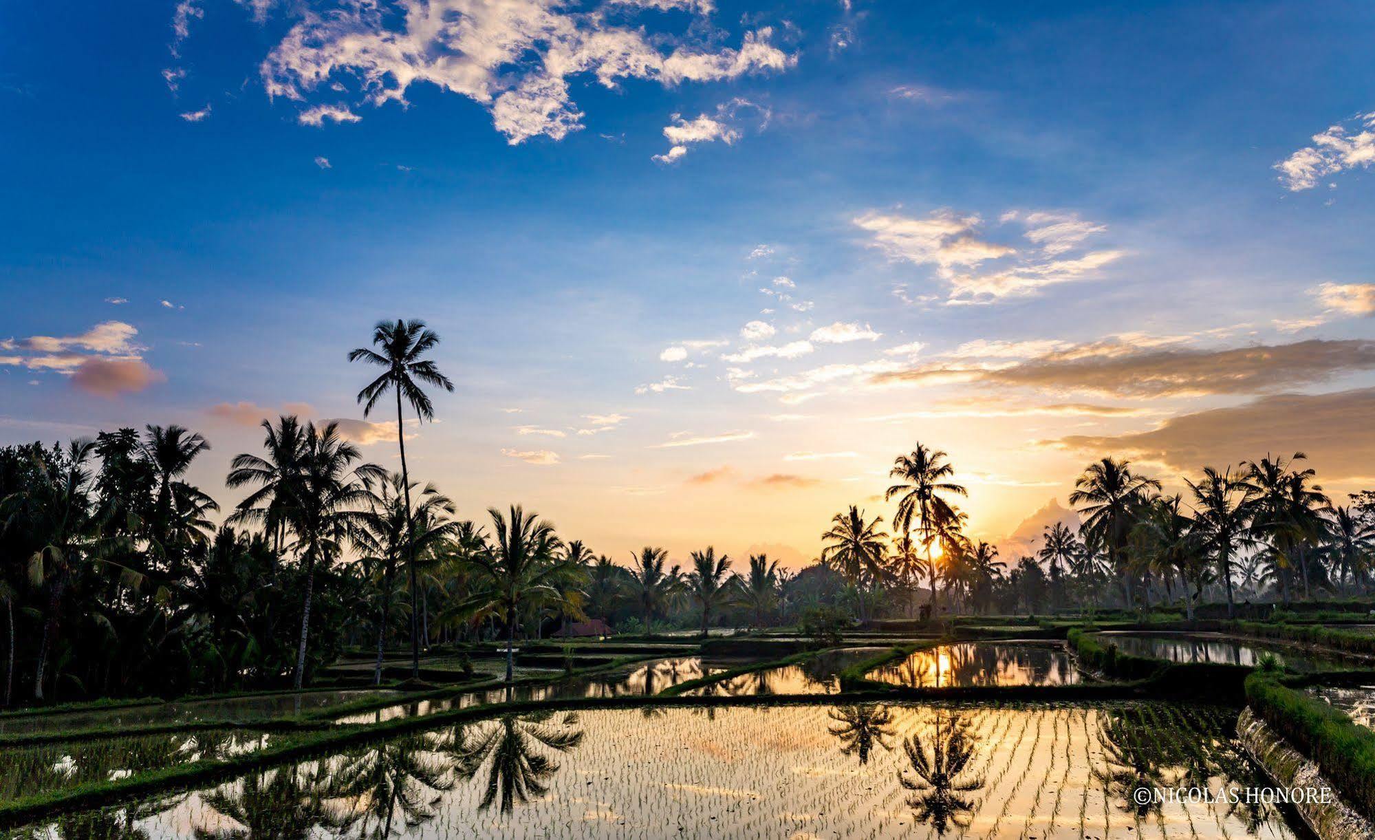 Hati Padi Cottages Ubud Exteriér fotografie