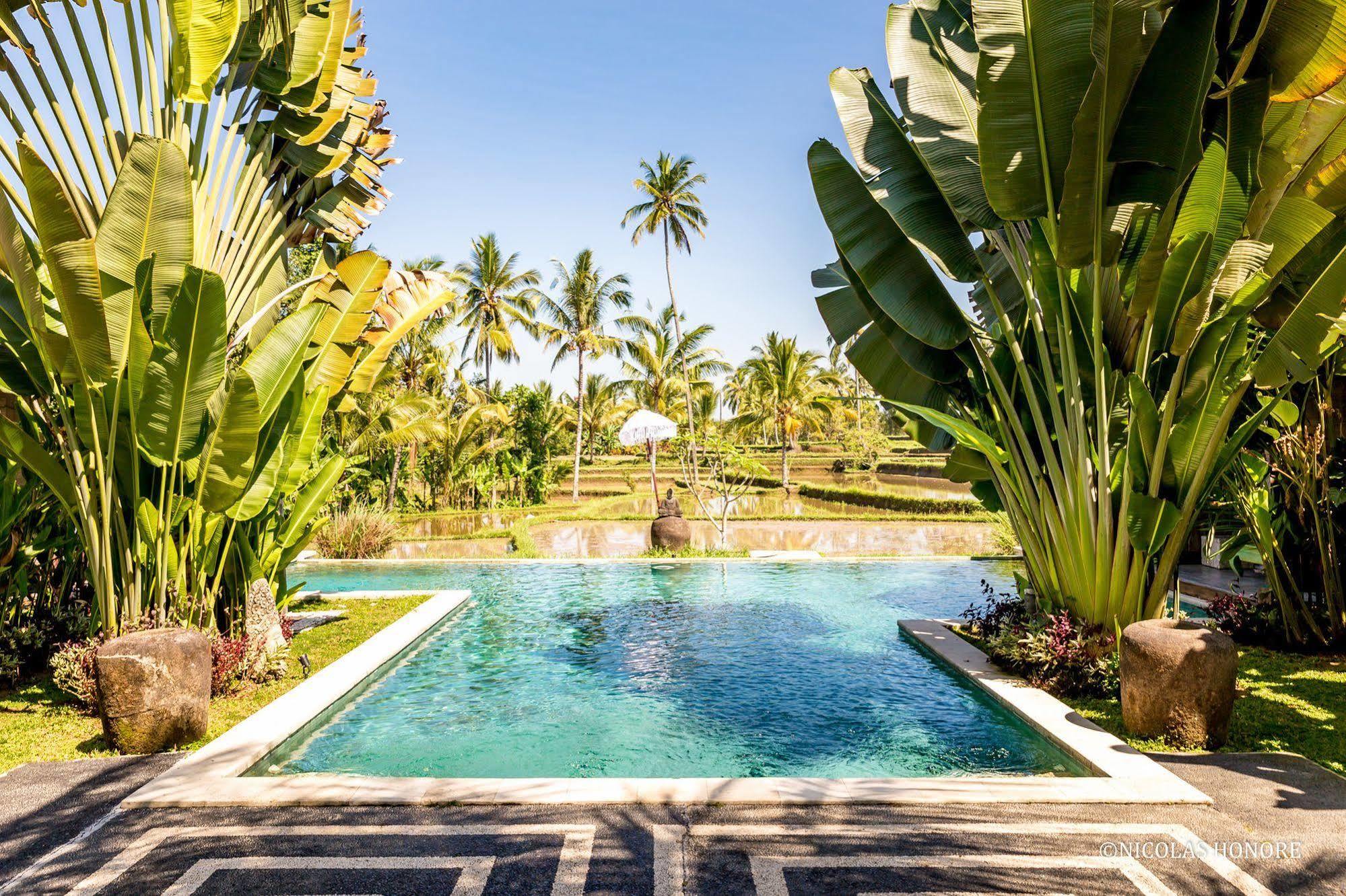 Hati Padi Cottages Ubud Exteriér fotografie