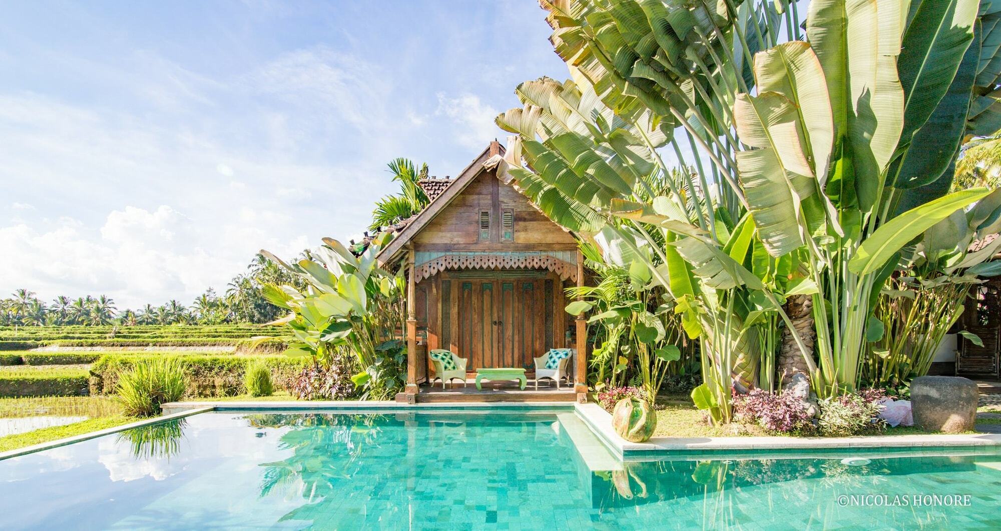 Hati Padi Cottages Ubud Exteriér fotografie
